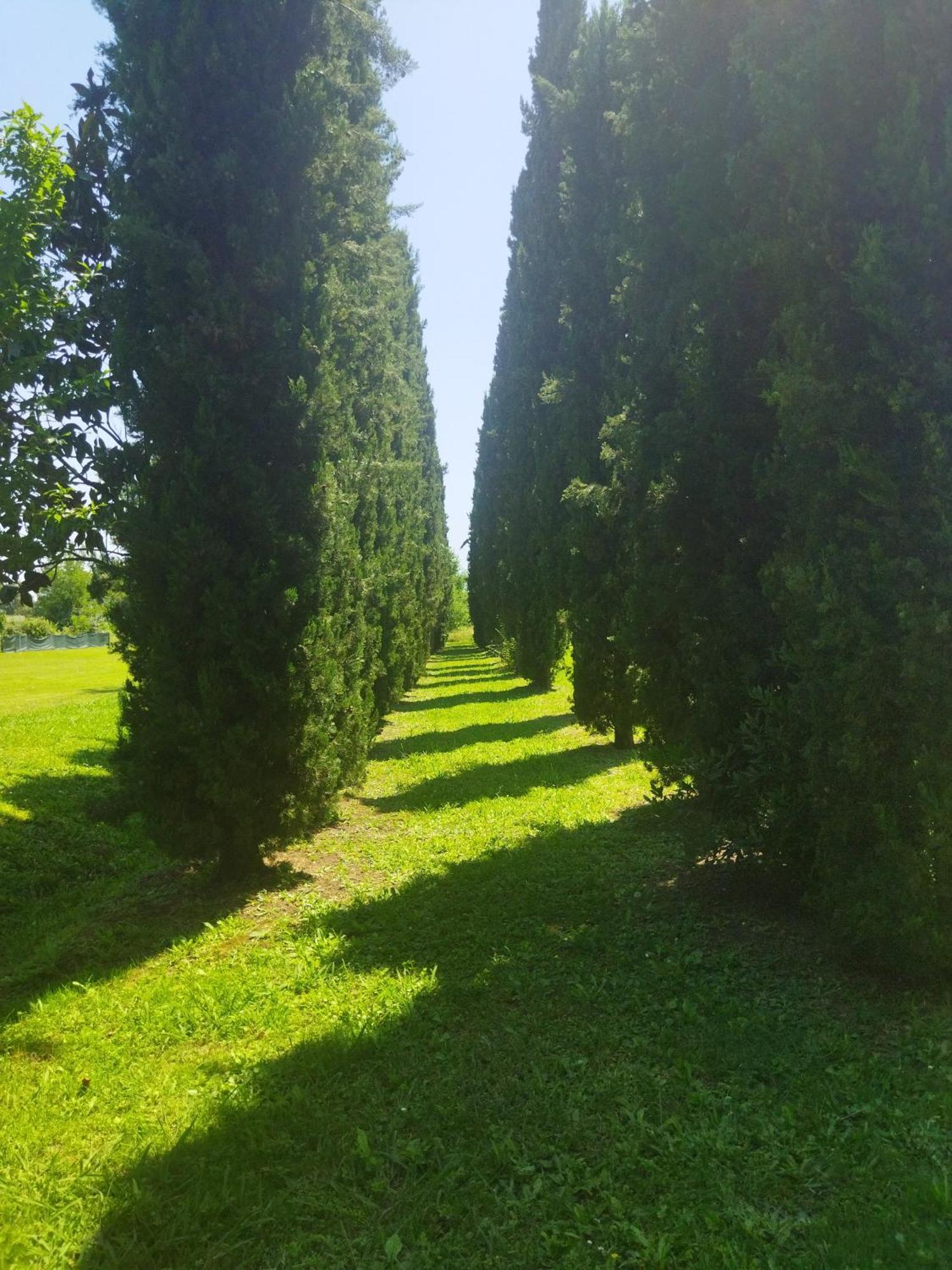 Villa Fontana Capannori Exterior foto